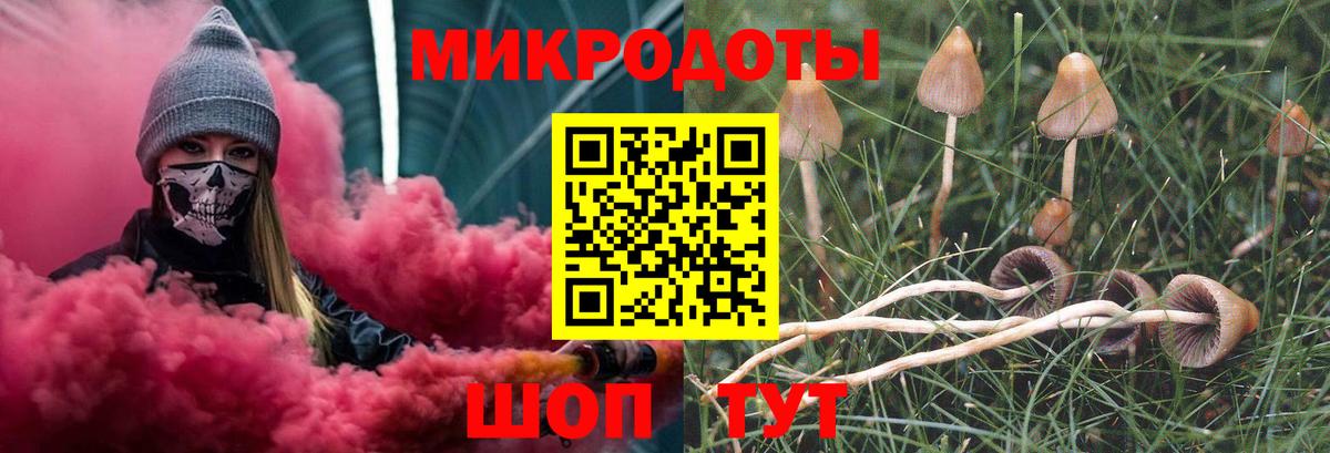 купить   Псилоцибиновые грибы Psilocybe  Вход с VPN  Бузулук 